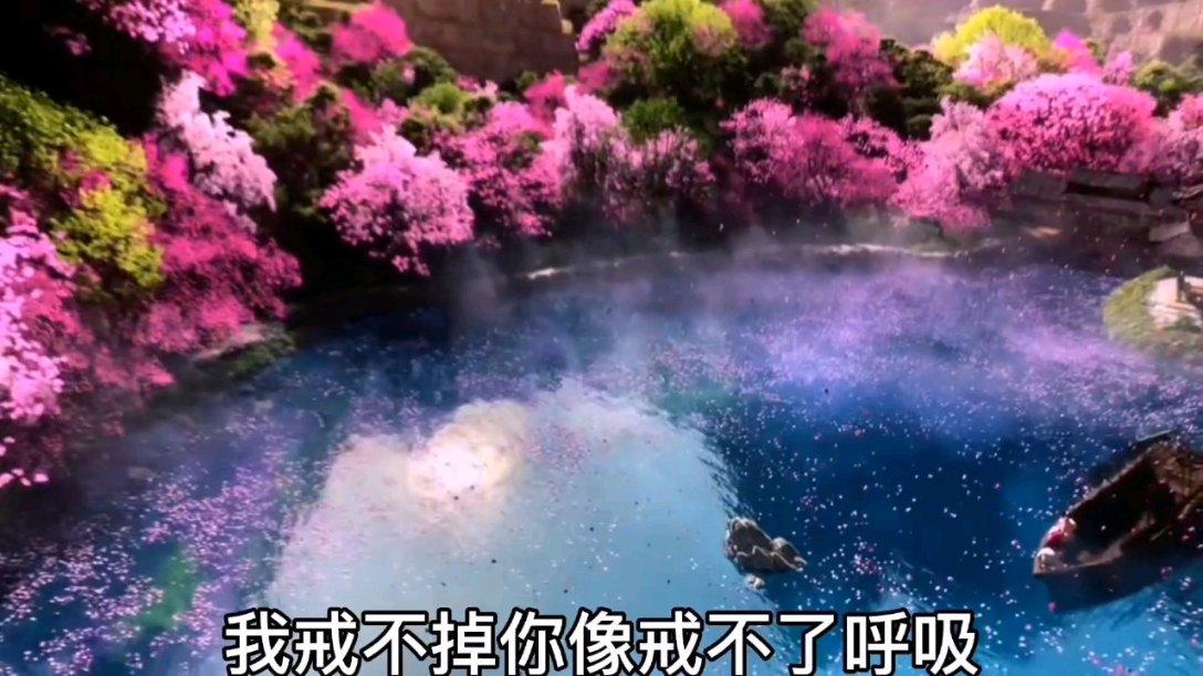 我的老师是偶像