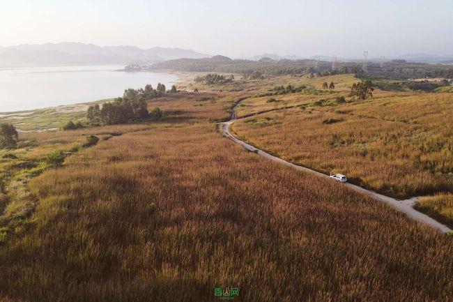极限巅峰