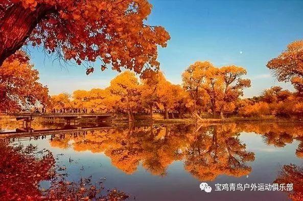 农民副总理陈永贵:干部就要先干一步,否则就别当干部