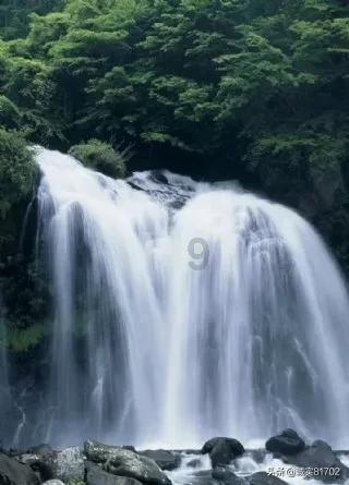 迈胜官宣牵手马拉松冠军吴向东——路跑精英与专业品牌的“双向奔赴”