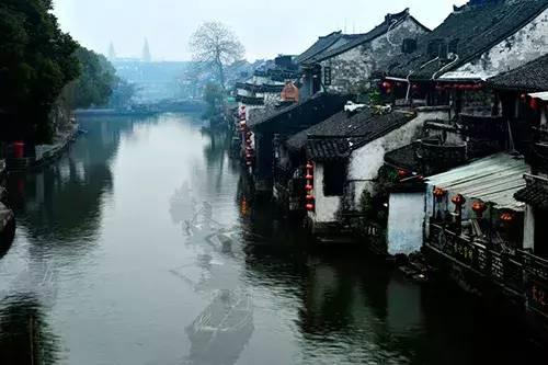 僵尸女友爱爬树