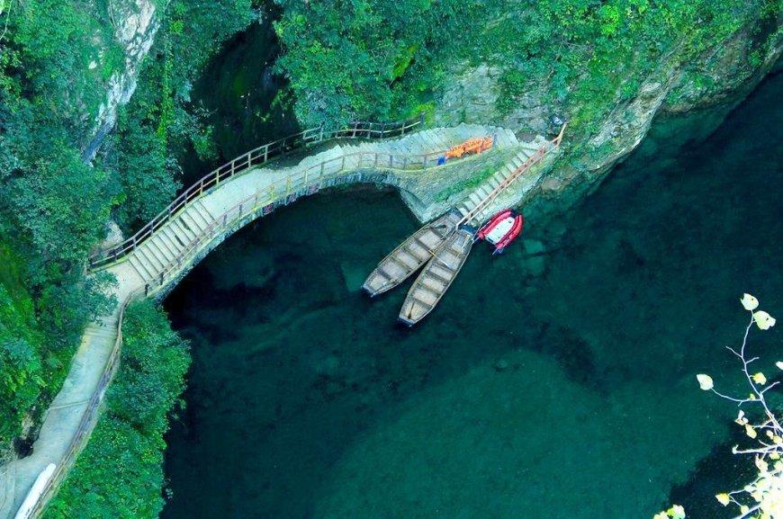 逃离荒废丛林屋